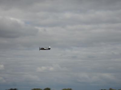 Meeting Rennes 2010 1 : Bearcat (3)