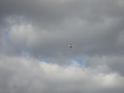 Meeting Rennes 2010 1 : Yak-3 (2)