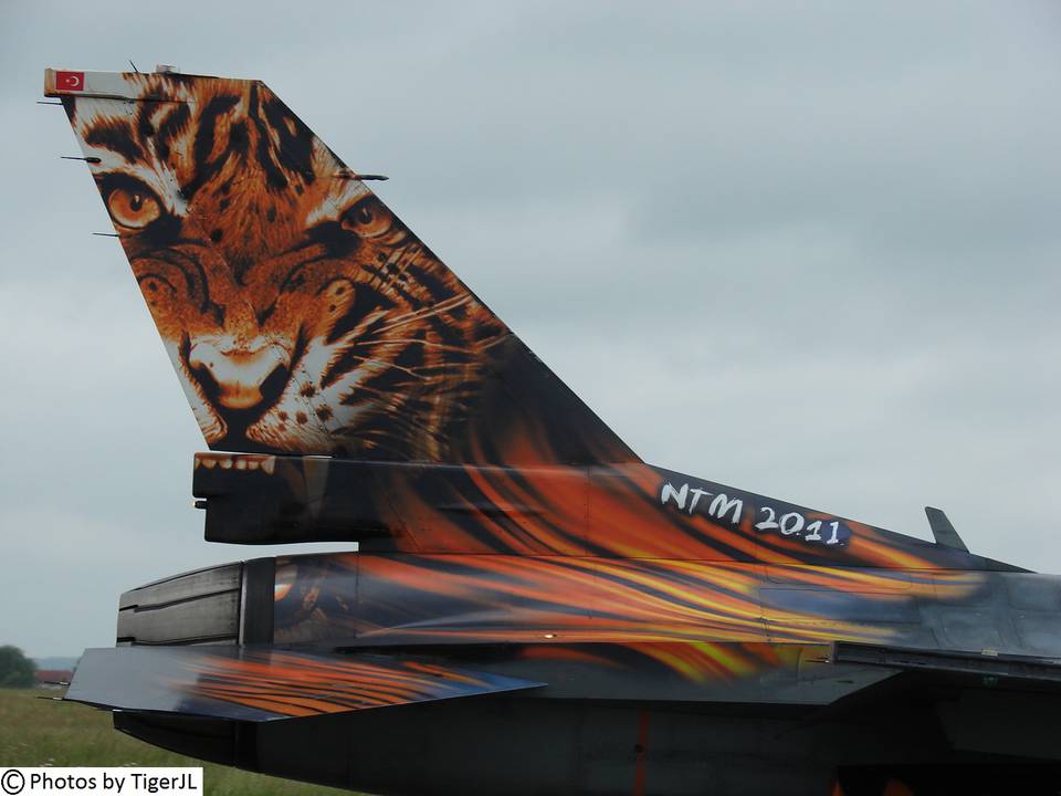 Spotter Day Tiger Meet BA-103 Cambrai - 16 Mai 2011 1 : Spotter Day Tiger Meet à la BA-103 Cambrai Epinoy le 16 Mai 2011 - 52