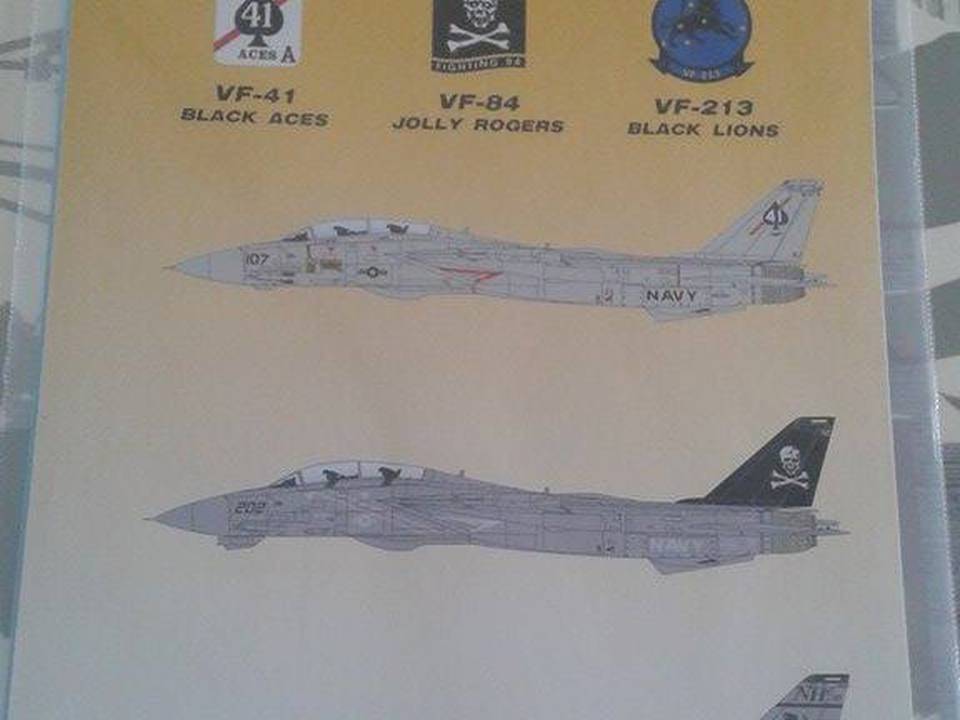 TigerJL SB Decals F-14A 160390