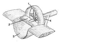 Engin &agrave; effet de sol (le dessin est de Fischer et non de Custer)
