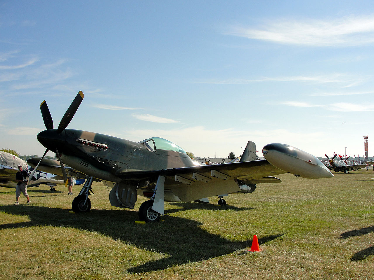 Cavalier F-51D Mustang II vu de l'avant