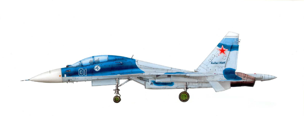 Sukhoï Su-30MKI - Profil du prototype n°1 (T10PMK-1)