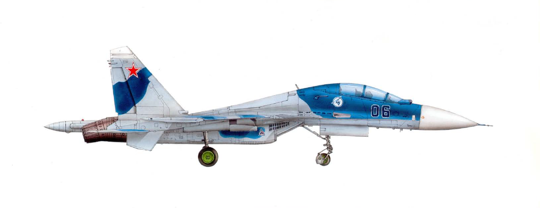 Sukhoï Su-30MKI - Profil du prototype n°2 (T10PMK-6)