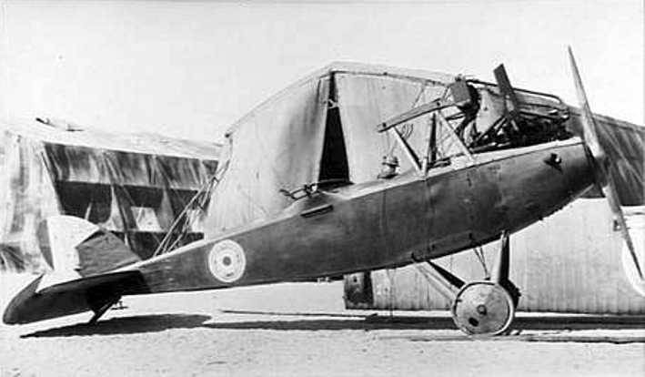 Halberstadt CL.II capturé par le Royal Flying Corps