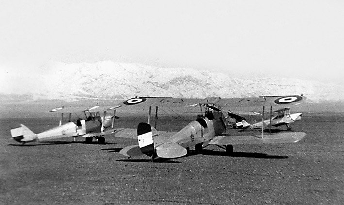 De Havilland DH-82 Tiger Moth iraniens