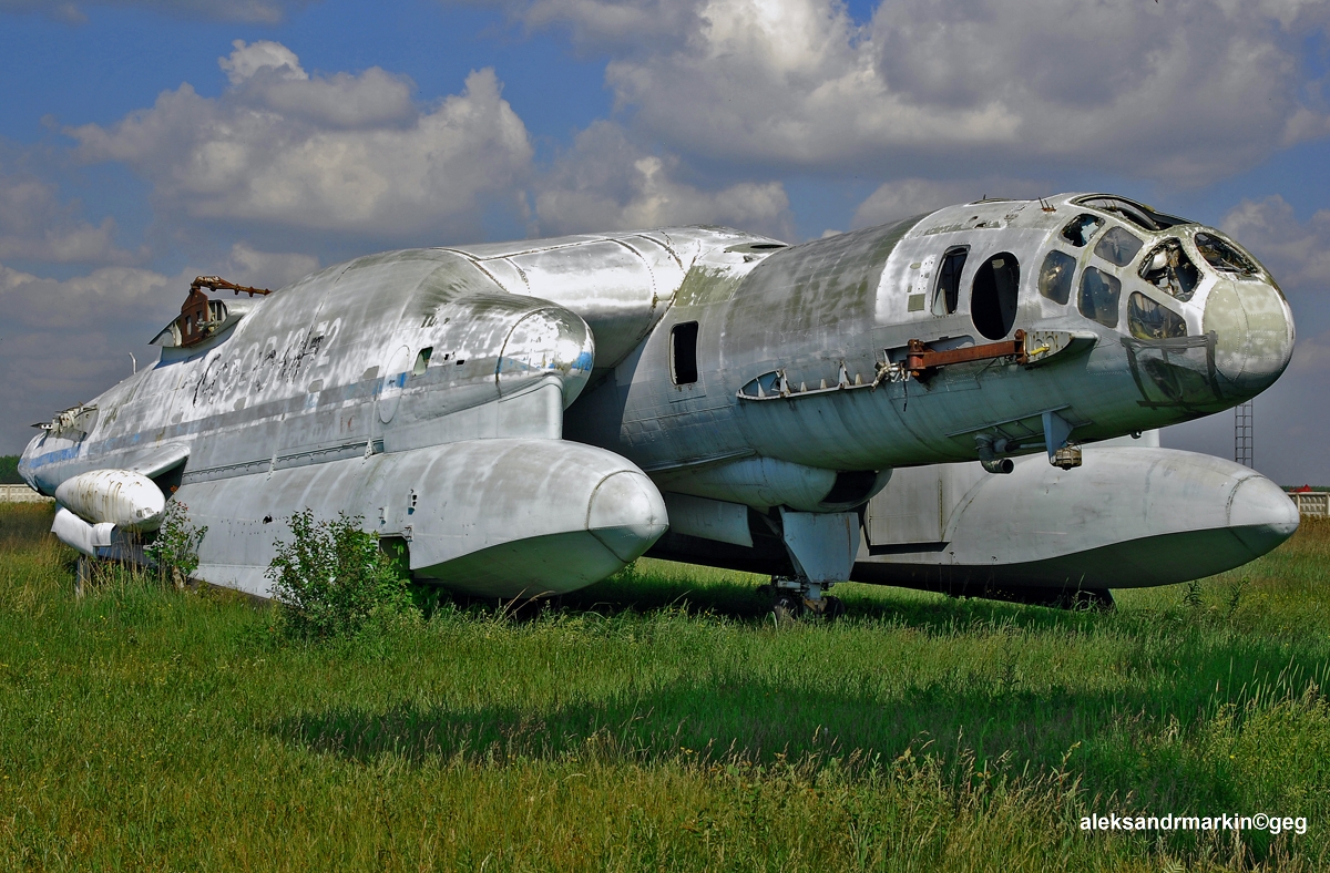 Beriev VVA-14 en 2007