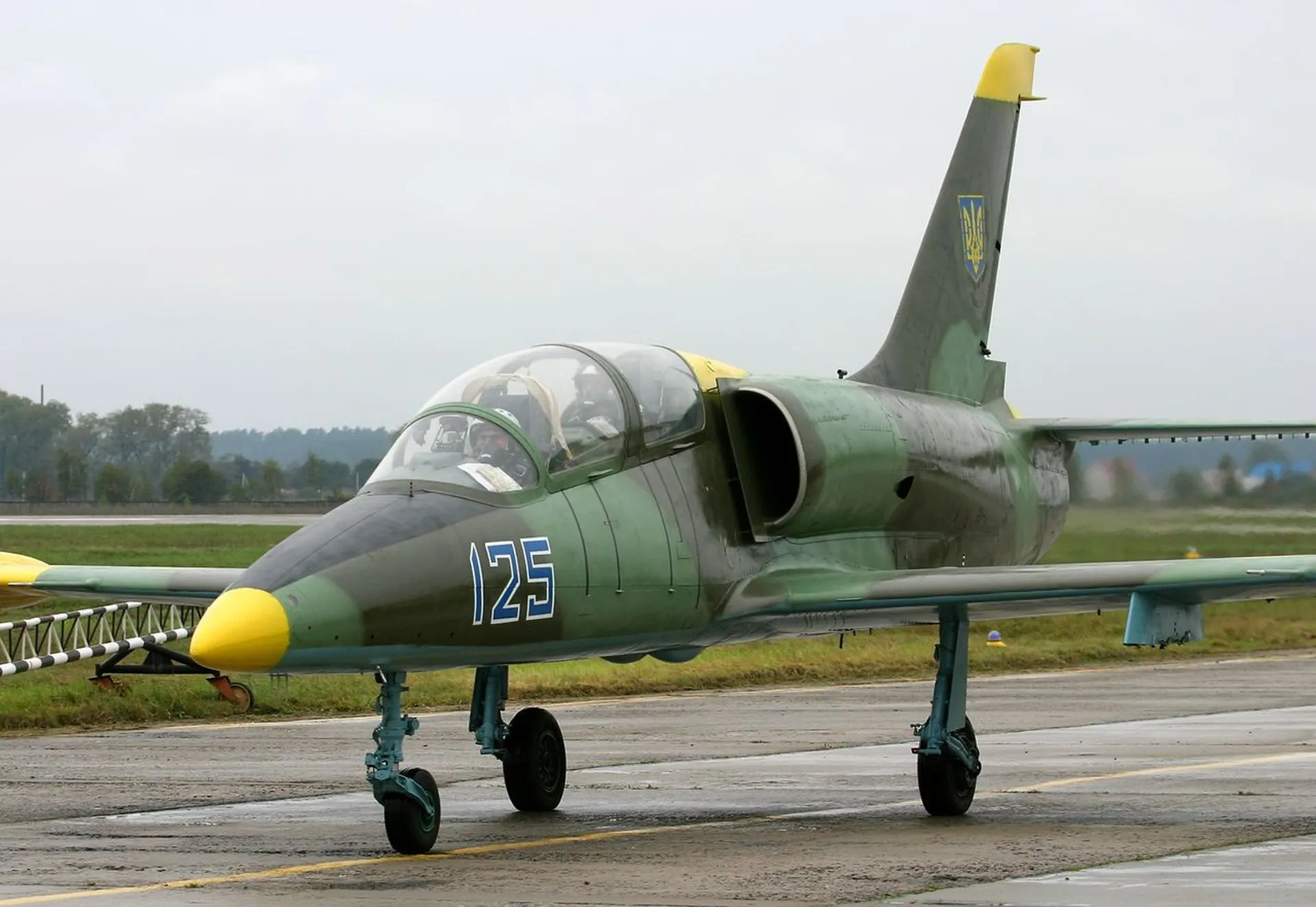 Л 39. Л-39 Альбатрос. Самолет l 39 Albatros. Aero l-39c Albatros. Aero l-39 Albatros.