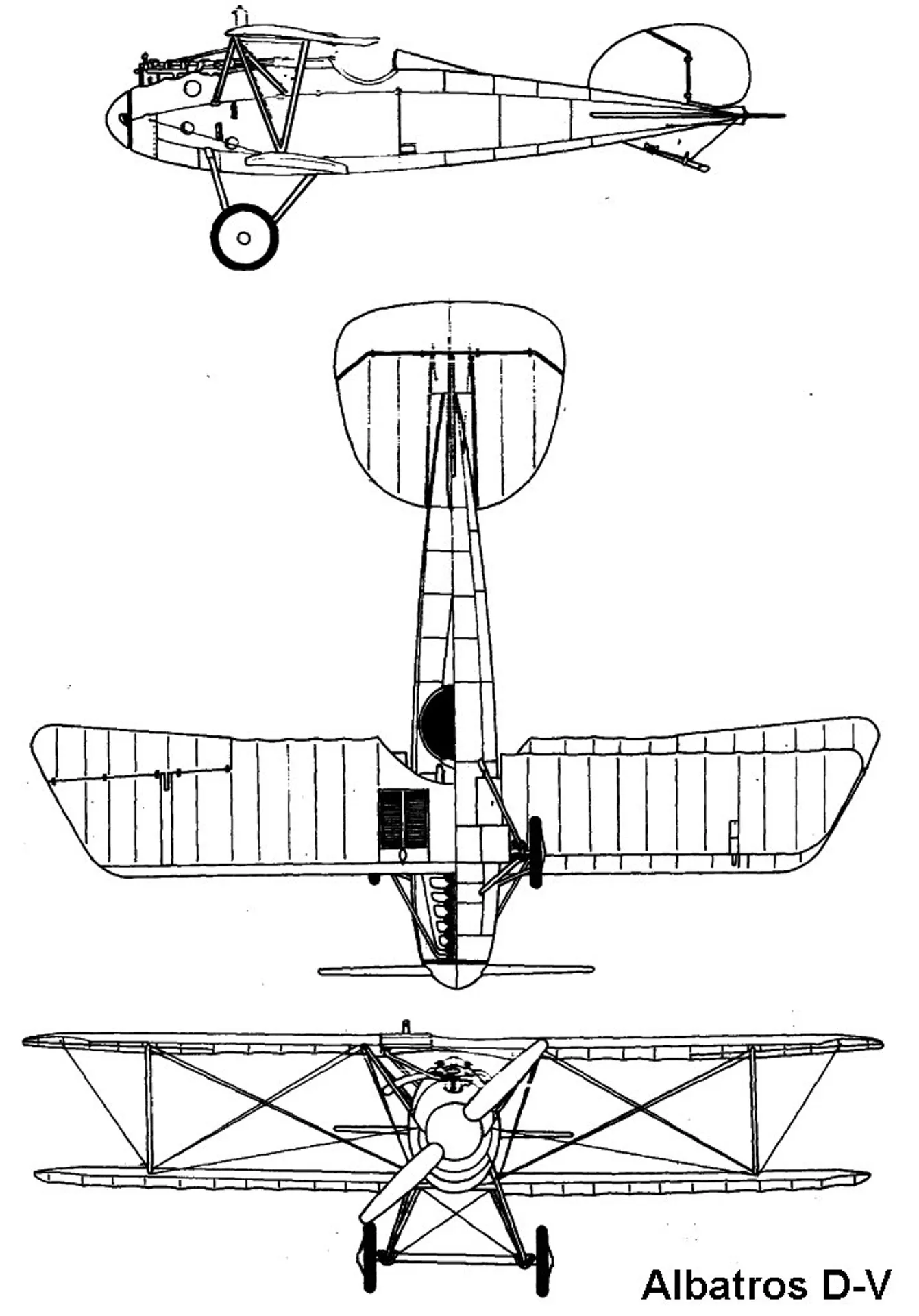 Albatros d iii чертеж