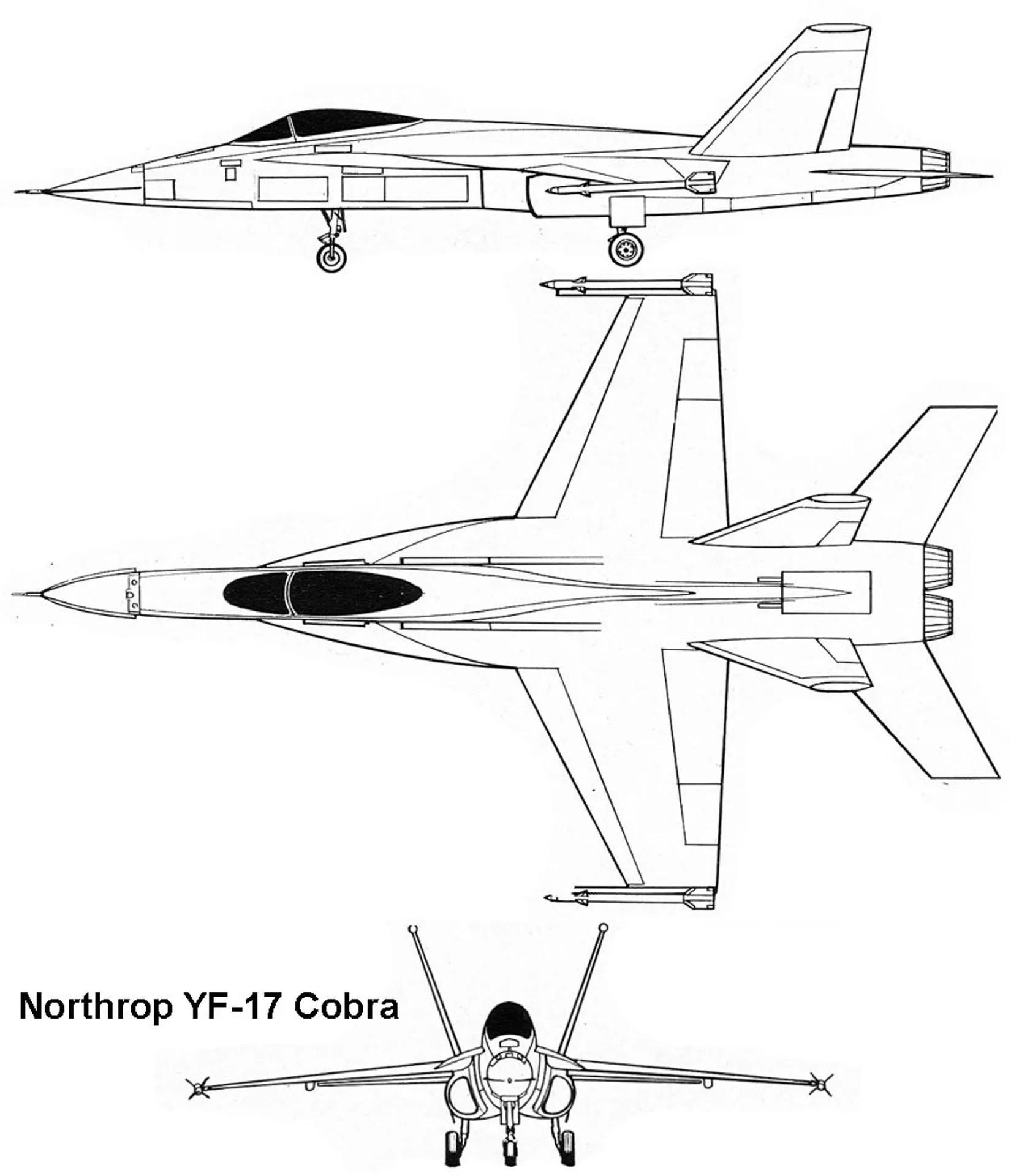 F 17. YF-17 Cobra. F 17 истребитель. F17 самолет. Northrop YF-17 Cobra.