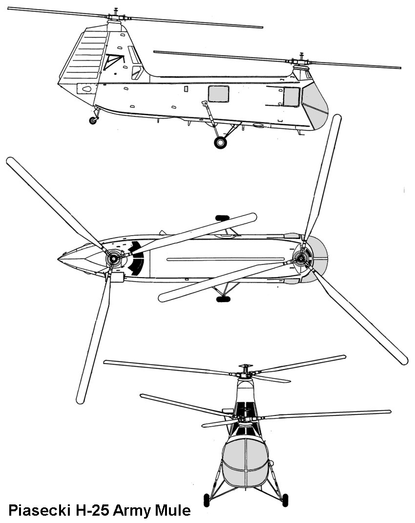 Piasecki UH-25B Army Mule